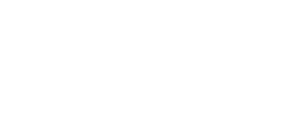 WordPress Winner 2024 TechBehemoths Awards